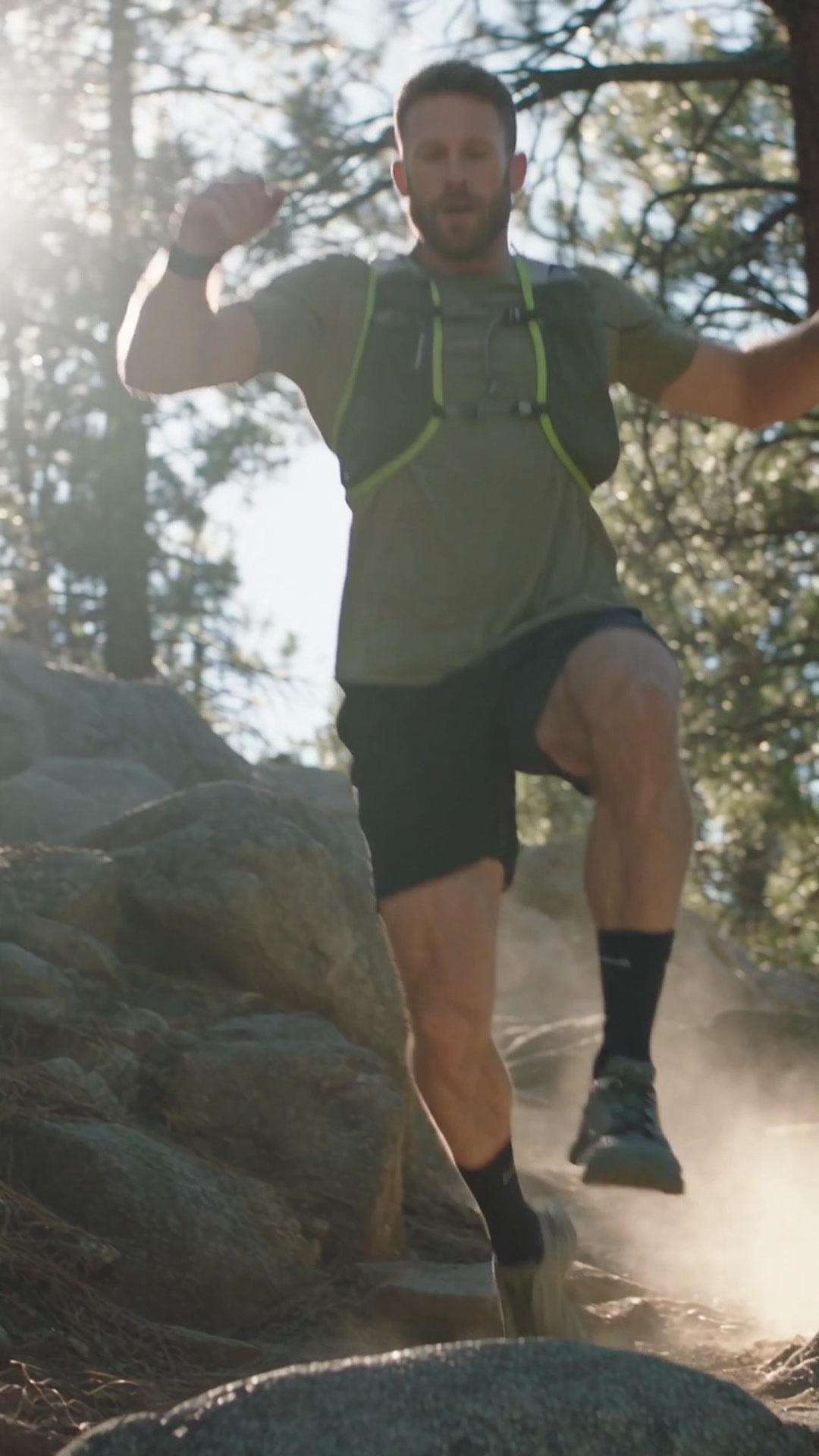 Trail running through pine forest